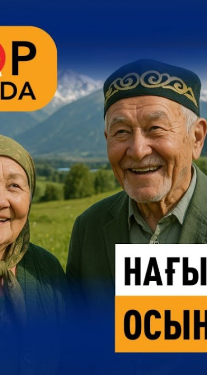 О проекте Stop-piramida.kz