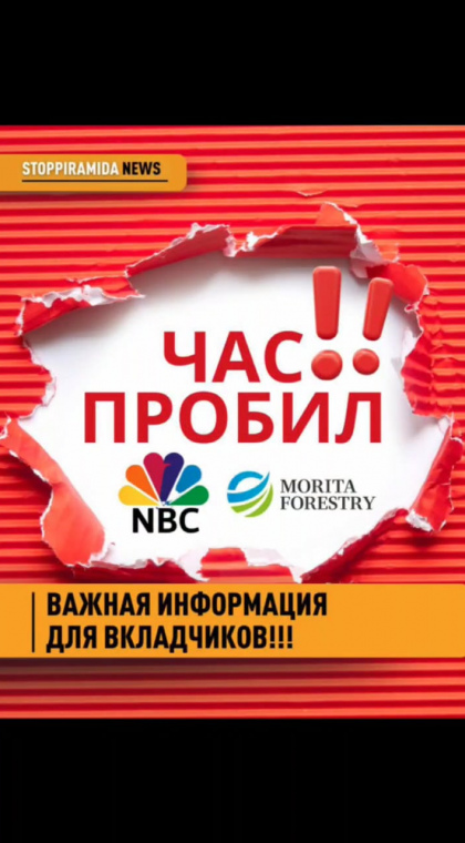 Признаки пирамиды | Информация | 