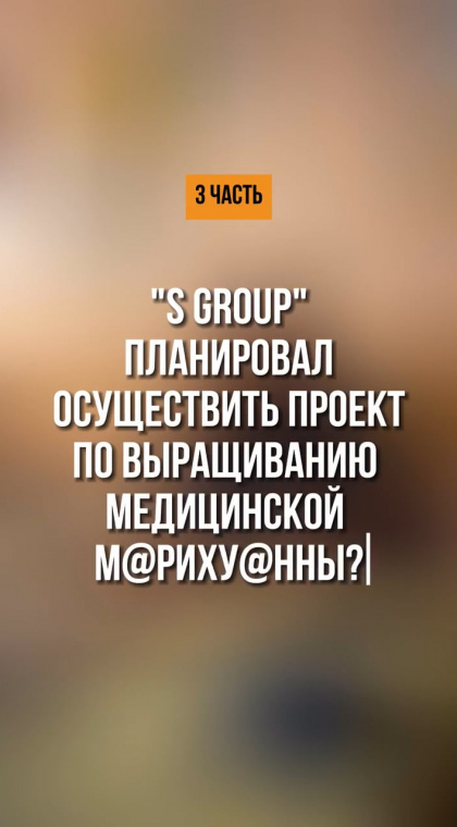 Финансовая пирамида | История вкладчика 