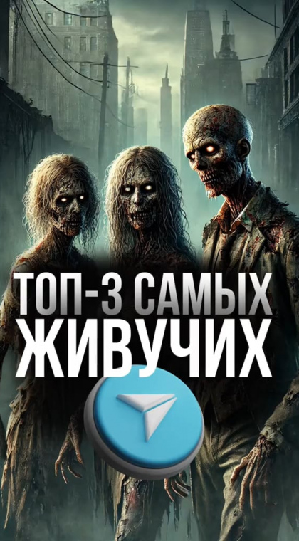 Итоги 2024 года: ТОП-3 самых живучих мошеннических Telegram-канала